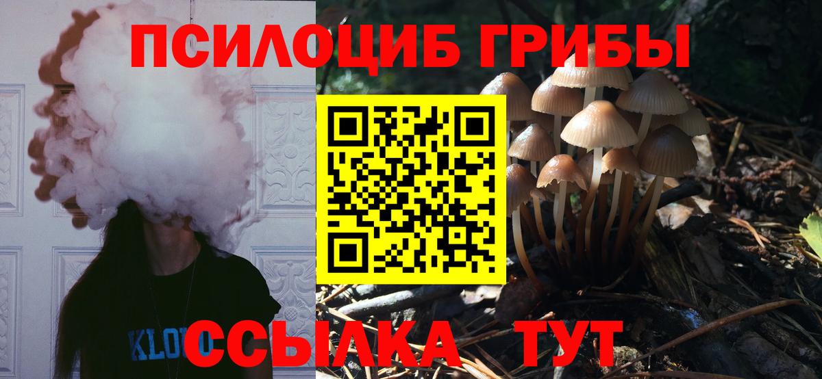 Вышний Волочёк  наркота  Вход с VPN  Галлюциногенные грибы MAGIC MUSHROOMS 