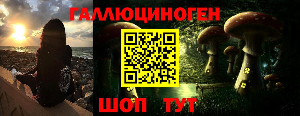 Галлюциногенные грибы Psilocybe Вышний Волочёк